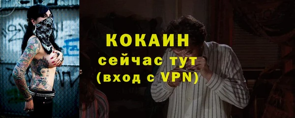 гидра Коряжма