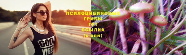 первитин Костерёво