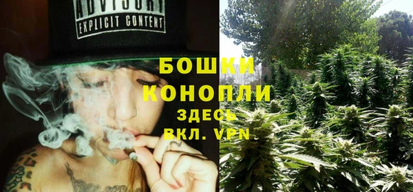 гидра Коряжма