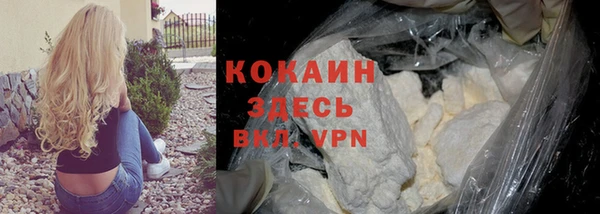 гидра Коряжма
