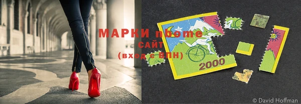 гидра Коряжма