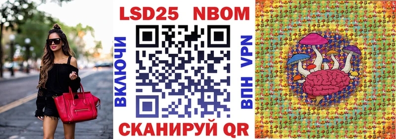 Купить закладки  Котельнич  Наркотические марки 1,5мг 